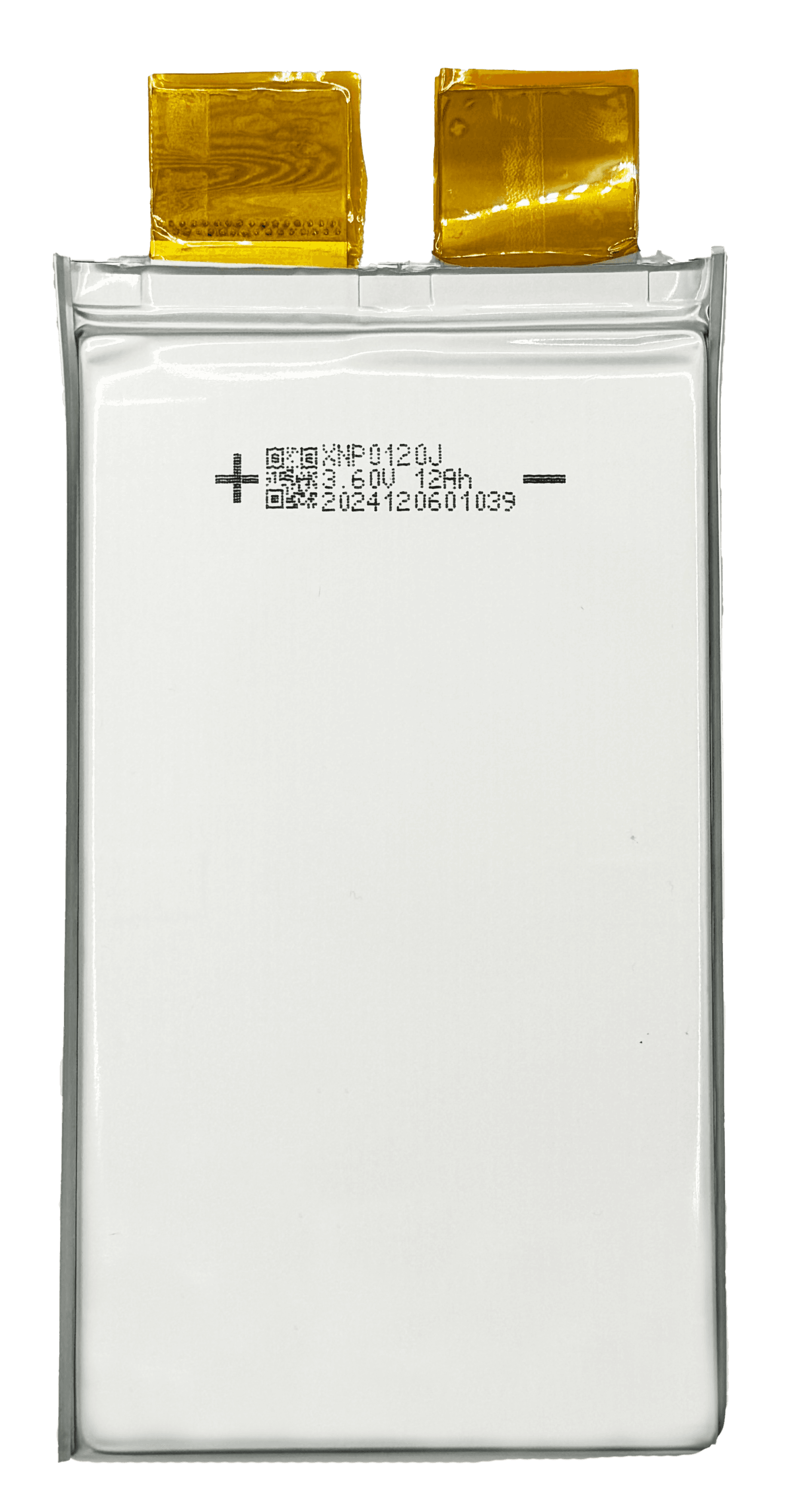 EGI Battery-XNP0120J-EGI Battery-XNP0120J-battery-advanced-datasheets-and-models